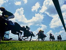 Royal Ascot Racing, inside rail