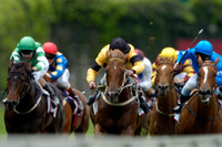 Royal Ascot Racing, racing 04